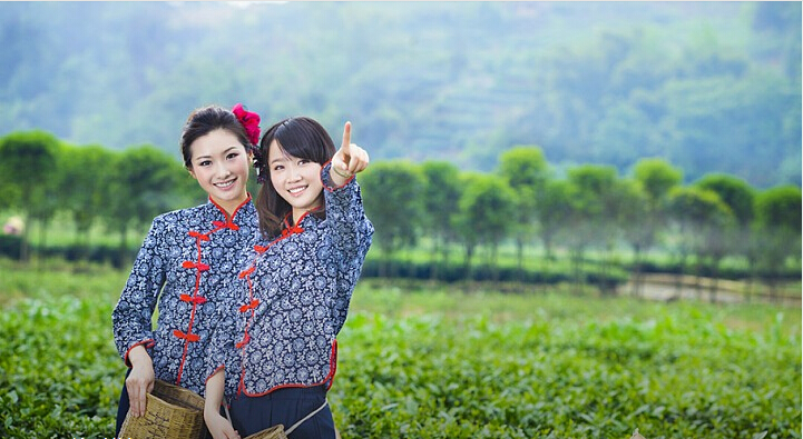 日本老人采樹葉賺53萬(wàn) 是天價(jià)葉子還是天價(jià)商機(jī)？|餐飲界