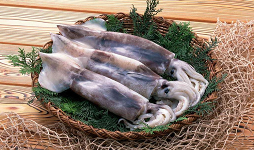 如何挑選高蛋白魷魚(yú)