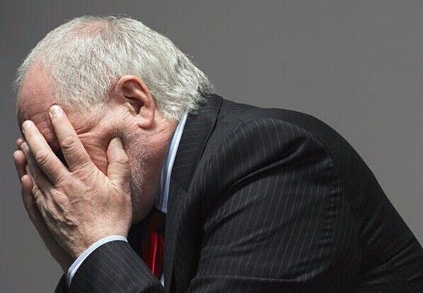 危局！過分依賴自持物業(yè)的凈雅未來還有多少可能？