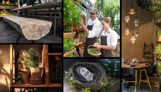 這兩家企業(yè)是如何將體驗經濟融入產業(yè)的