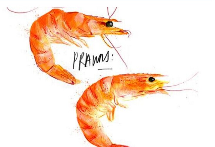 你是不是被“偽品類”忽悠了好多年？