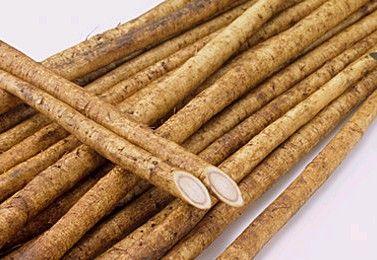 牛蒡的選購(gòu)及儲(chǔ)存