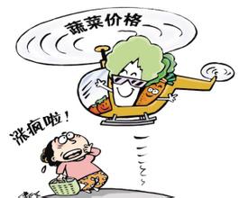 蔬菜價格瘋漲，市民菜販皆無奈