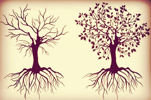 繁榮背后，北上廣深餐企死亡率究竟有多高