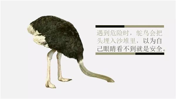 這6個詞，你誤解了任何一個，都能讓你錯過“風口”