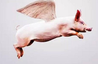 互聯(lián)網(wǎng)時(shí)代，且看風(fēng)口上的智慧餐飲豬怎么飛？