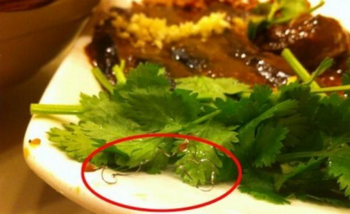 食客在餐廳吃到鋼絲，餐廳被判賠償食客206萬，并罰款686萬