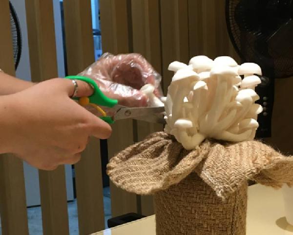 餐飲三巨頭的“爆品”玄機(jī)，其實(shí)就是4個(gè)字|餐飲界