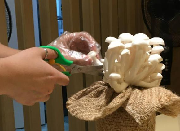 餐飲三巨頭的“爆品”玄機(jī)，其實(shí)就是4個字|餐飲界