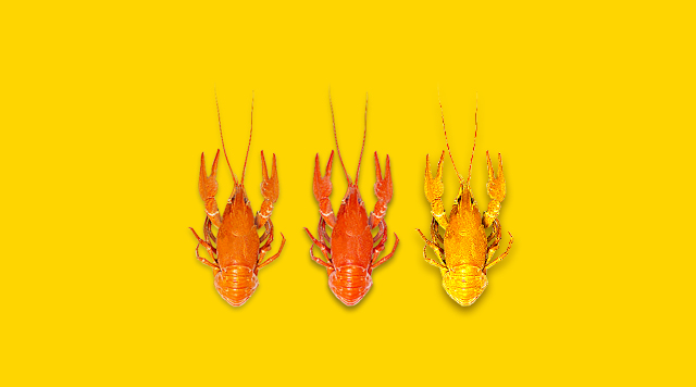 小龍蝦產(chǎn)業(yè)的工業(yè)革命，深加工對于市場意味著啥？