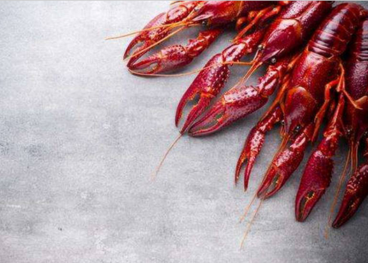 大學(xué)竟為她開設(shè)專業(yè)！餐飲界最紅單品2017要怎么爆發(fā)？