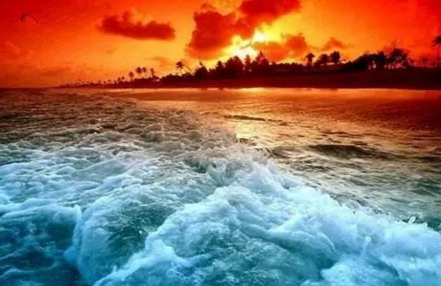 外賣創(chuàng)業(yè)江湖：早餐和午餐外賣為什么冰火兩重天？