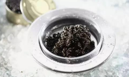 魚子醬到底有多少種？餐飲人快來辨別一下