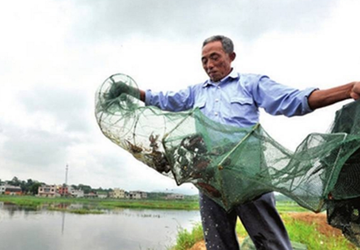 小龍蝦“斷供”是誰的“黑手”在操控？