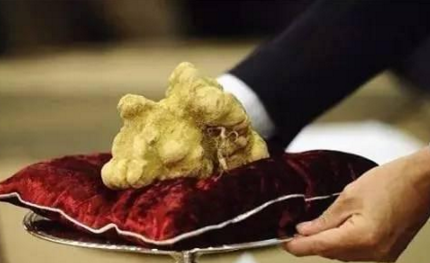 知識(shí)庫(kù)｜為了得到這種珍稀食材，澳門賭王豪擲33萬(wàn)美金！