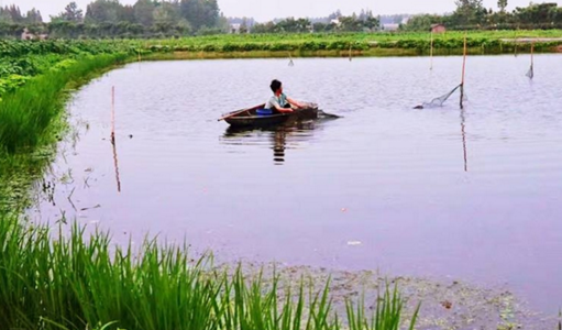 實(shí)探潛江小龍蝦源頭：無(wú)蝦可販，商戶們?cè)缭缡展ご蚺?></a>
          <div> <a href=