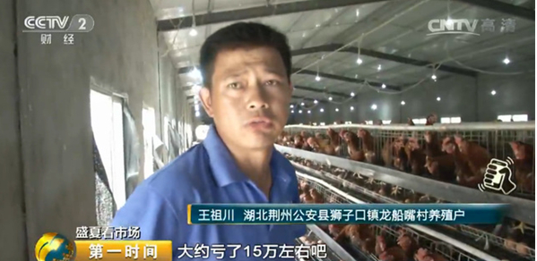 雞蛋價(jià)格跌跌不休！最低腰斬一半