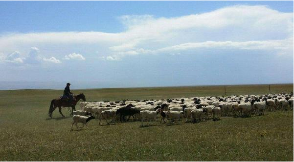餐飲定位就是品類+客群？錯(cuò)！還要看消費(fèi)場(chǎng)景|餐飲界