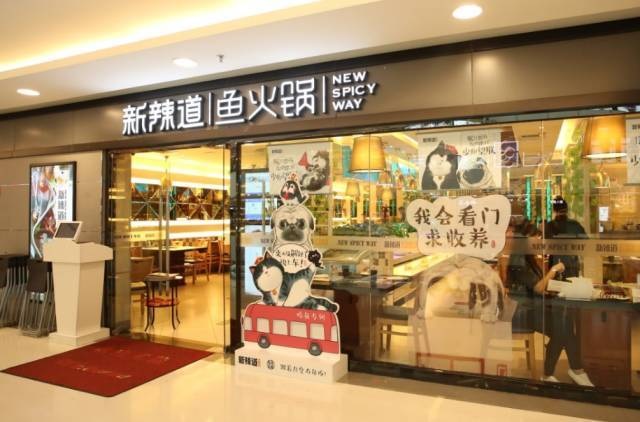 破局傳統(tǒng)營(yíng)銷思維，看新辣道如何跨界&借勢(shì)瘋狂圈粉？ | 案例