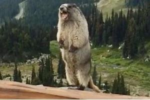 體驗3000多家餐廳后發(fā)現，爆品這樣打造最賺錢！