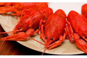 2017美食消費(fèi)報(bào)告：90后成消費(fèi)主體、消費(fèi)者最愛小龍蝦、6成消費(fèi)者習(xí)慣吃宵夜|餐飲界