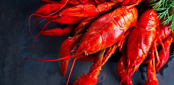 基于營養(yǎng)師資源優(yōu)勢，「瘦蜜」用寶寶餐食制作平臺為AI健康餐飲做數據鋪墊