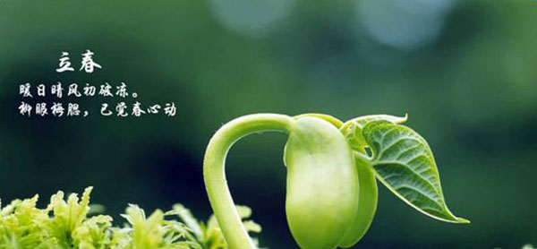 用好這幾點，讓你的火鍋加盟店在春天有個紅紅火火的開始