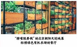 但凡說紙巾要2元的餐廳，我不會去第二次！|餐飲界