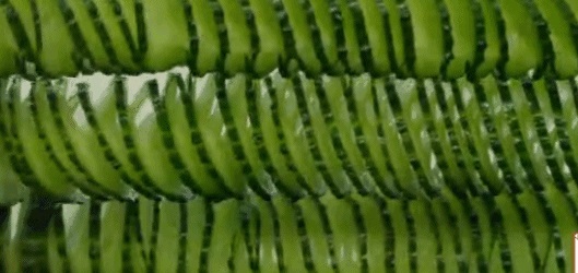 《舌尖3》亮出底牌，餐飲人笑了！