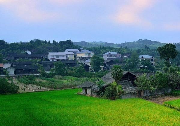 城市水太深，回鄉(xiāng)開餐廳？看完這篇你再做決定……