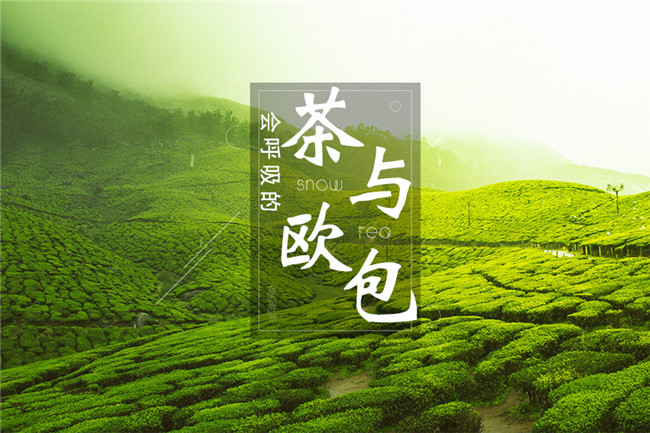 9個(gè)月開(kāi)600家店，漫雪的茶憑啥攻占全國(guó)市場(chǎng)？|餐飲界