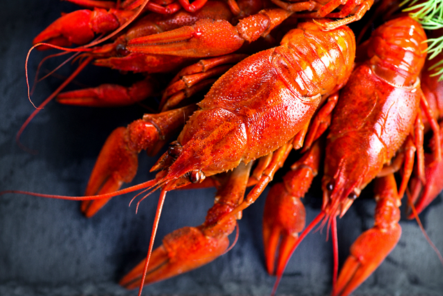 小龍蝦供應(yīng)鏈競(jìng)爭(zhēng)白熱化！餐企混戰(zhàn)何時(shí)休