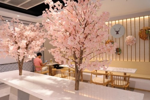 讓年輕人“上癮”的鹿角戲 做對了些什么？