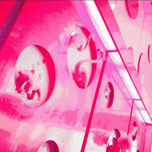 喜茶、奈雪の茶、鮑師傅等網(wǎng)紅店迅速竄紅的15個(gè)套路