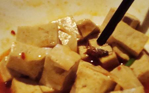 重慶一餐廳拼盤里蟑螂亂竄，食客直呼“惡心”