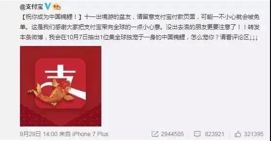 “錦鯉”火了，為什么我不建議跟風(fēng)蹭這個(gè)大熱點(diǎn)？