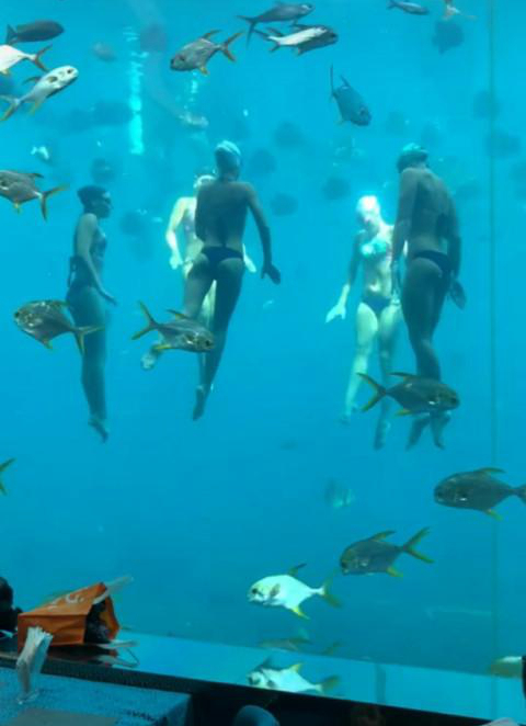 海底餐廳表演比基尼，每個餐位500元