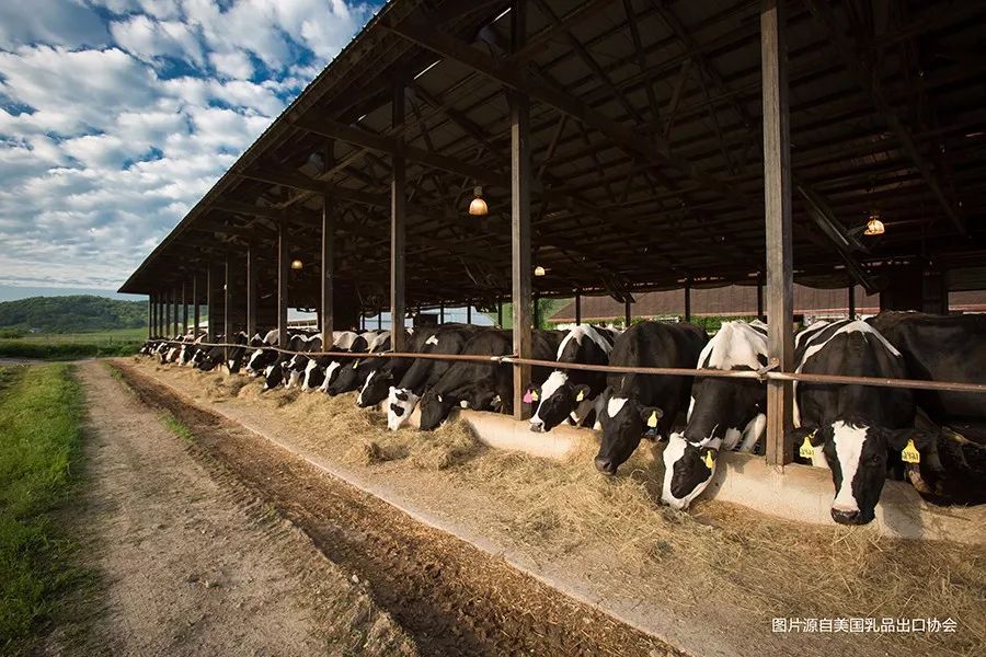 美國(guó)乳制品走向中國(guó)餐桌，將為中國(guó)市場(chǎng)帶來(lái)哪些影響？|餐見