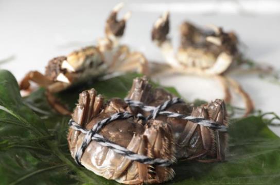 陽(yáng)澄湖大閘蟹正式上市，跨越速運(yùn)助力蟹農(nóng)一路領(lǐng)“鮮”