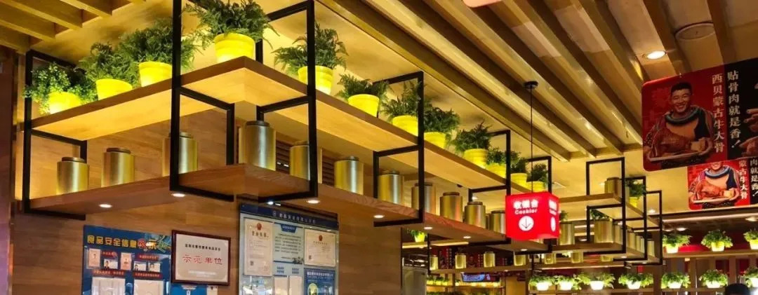 爆西貝、老鄉(xiāng)雞抗不過3個(gè)月，疫情之下餐企該何去何從？