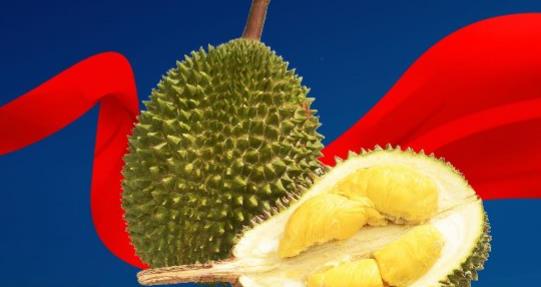 綠谷貓山王榴蓮，始終守護(hù)你的健康