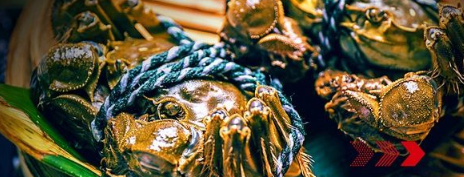 “秋風響，蟹腳癢”，順豐同城急送推出大閘蟹專送服務