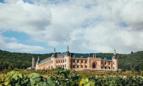 青谷酒莊，來(lái)自北緯45度的禮物