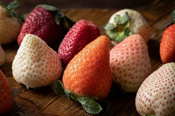 灣區(qū)認證首批項目發(fā)布 SGS通標農(nóng)產(chǎn)食品與服務兩項認證成功入選