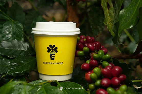 褚橙NFC鮮榨橙汁打底！四葉咖上新“橙心美式”