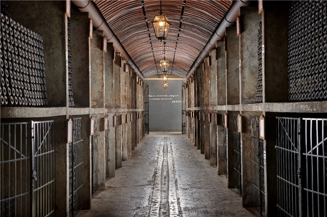 貝爾塔尼圖書館品鑒會初登華夏，上海、北京、深圳、廣州流連品鑒芳香