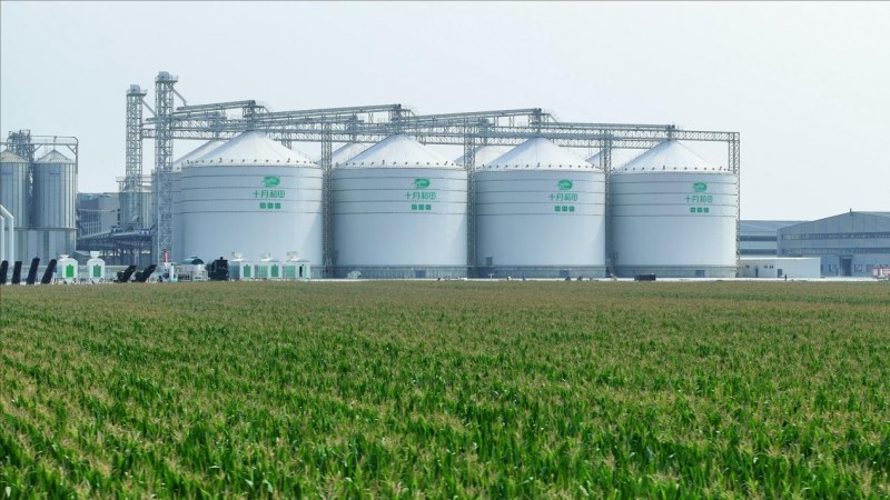 十月稻田玉米全國(guó)銷量領(lǐng)先！引爆主食消費(fèi)新熱潮