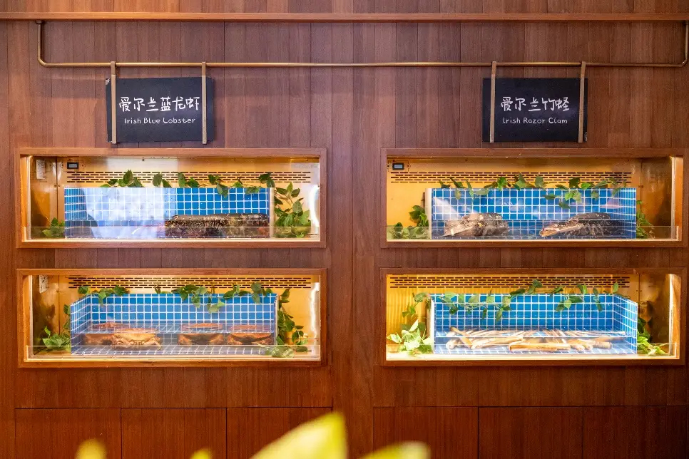 愛爾蘭農業(yè)、食品及海事部部長帶團訪華并走訪上海的“愛爾蘭海鮮集市”