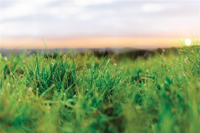 恒天然可持續(xù)行動全回顧|餐飲界