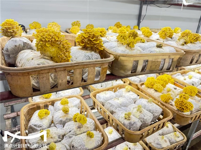 沸點(diǎn)計(jì)劃發(fā)布“山海供應(yīng)鏈”戰(zhàn)略：投建十大生態(tài)基地，護(hù)航萬(wàn)店擴(kuò)張|餐飲界